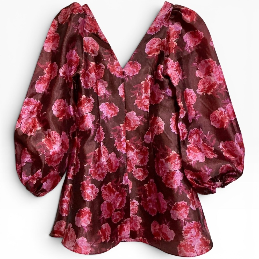 BHLDN Anthro Aliana Long Sleeve V-Neck Floral‎ Organza Mini Dress Plum Pink XS